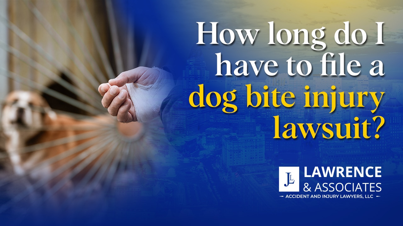 Thumbnail for How Long Do I Have To File a Dog Bite Injury Lawsuit?