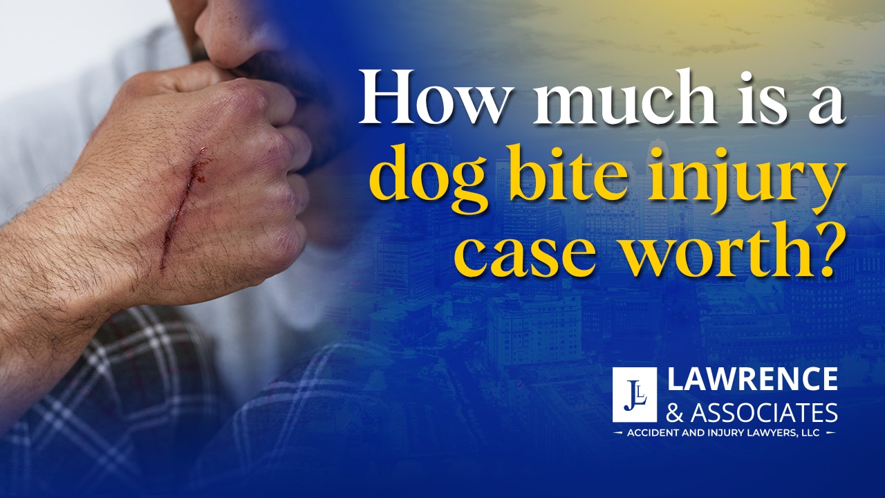 Thumbnail for How Much Is a Dog Bite Injury Case Worth?