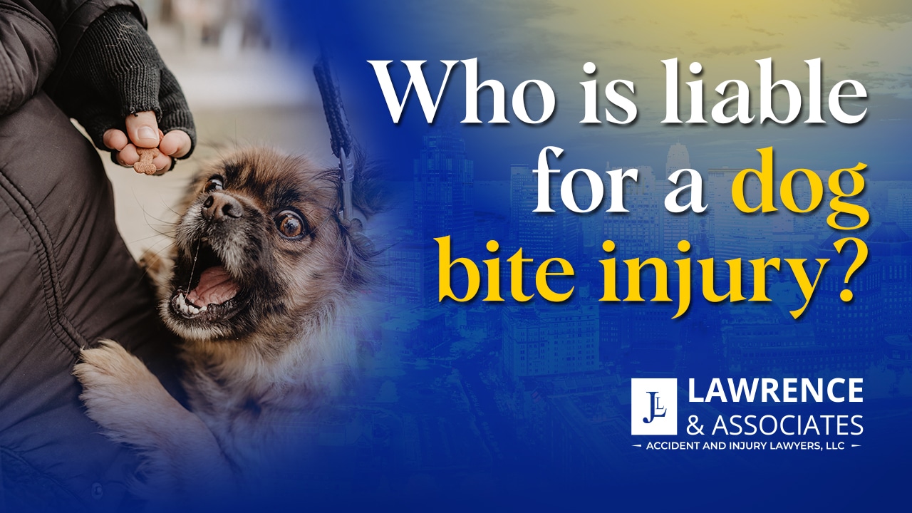 Thumbnail for Who Is Liable for a Dog Bite Injury?