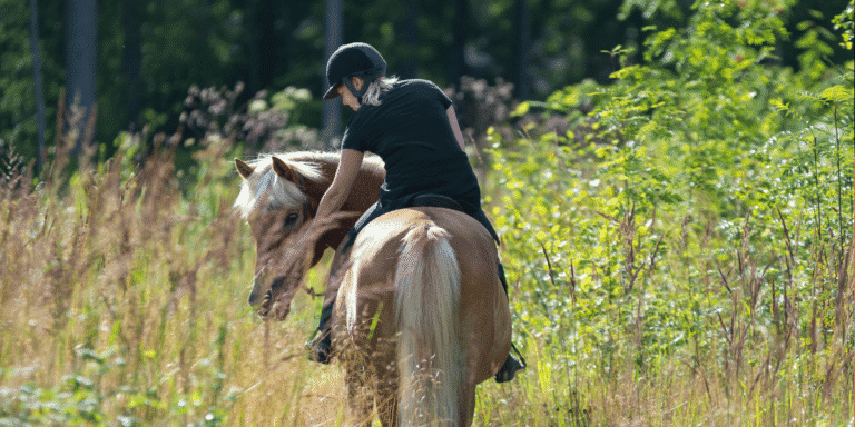Woman on a horse